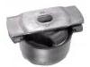 Suspension Bushing:82 00 427 868