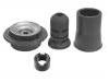 Strut Mount Kit:191 412 329 S