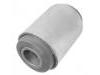 Suspension Bushing:4181070